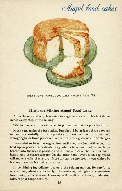 Caramel Cobbler, Loaf Pound Cake, Angel Food Cake Recipes, Cake Tattoo, Bakery Vintage, Chocolate Angel Food Cake, Illustrated Cookbook, Angel Food Cakes, Cookbook Pages