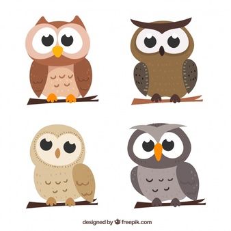 Cartoon Owl Drawing, Owl Girl, Cartoon Owl, Owl Vector, Owl Stickers, Owl Logo, Owl Illustration, Owl Theme, Colorful Owls