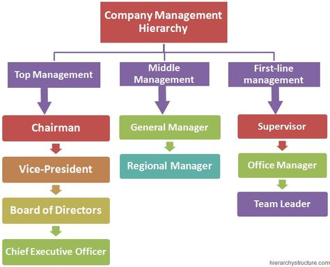 Company Management Hierarchy Company Hierarchy, Business Hierarchy, Planning Techniques, Hierarchy Design, Company Management, Organizational Chart Design, Google Office, Organizational Development, Business Strategy Management