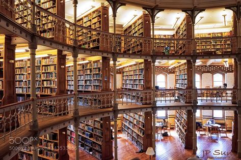 Grand Library, Lots Of Books, Future Library, World Library, Black Claws, Old Libraries, Private Library, Dream Library, Beautiful Library