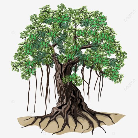 Banyan Tree Illustration, Banyan Tree Painting, Banyan Tree Drawing, Banyan Tree Bonsai, Tree Branding, Bedroom Tree, Graphics Resources, Plant Png, Tree Abstract