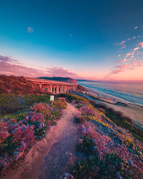 🌞 There’s a lot of landscape variety here in San Diego county. This shot was taken last summer, in Del Mar near Torrey Pines State Beach. It’s a great area for your more scenic shots. • • • • • • • • • • • • #sandiegocounty #sandiegobeach #sandiegocalifornia #sandiego_visuals #sandiegophotographer #calivibes #cali #springvibes #planetearth #roamtheplanet #beautifullandscapes #wandermore #visualsofearth #explore #photooftheday #cryptoart #sunsetcaptures #sunriselove #sunsetsky #sunsetl... Torrey Pines San Diego, Oceanside San Diego, San Diego Scenery, Pacific Beach San Diego, Ocean Beach San Diego, Torrey Pines, San Diego Beach, San Diego California, San Diego County