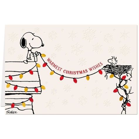 Snoopy Christmas Quotes, A Charlie Brown Christmas, Snoopy Funny, Snoopy Images, Peanuts Cartoon, Snoopy Wallpaper, Brown Christmas, Peanuts Christmas, Snoopy Pictures