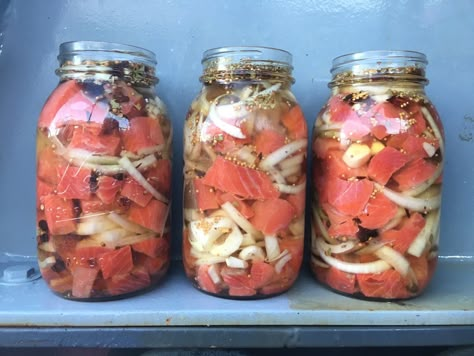 Pickled Fish Recipe, Cured Salmon Recipe, Pickled Meat, Salmon Sisters, Pickled Fish, Canned Salmon Recipes, Pickled Foods, Canned Salmon, Can Salmon