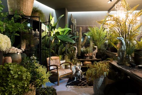 The UK-based designer Abigail Ahern overhauled a room with no natural light to be cozy, warm, and inviting—the picture of welcoming retail. Grow Room, Abigail Ahern, My Space, Room With Plants, British Design, Architectural Digest, Garden Room, Indoor Garden, Decor Interior Design