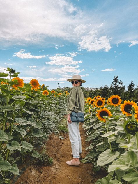 Istanbul Turkey Travel, Turkey Travel Guide, Farm Day, Fall Mood Board, Farm Clothes, Nature Photoshoot, Pumpkin Farm, Sunflower Field, Fall Activities