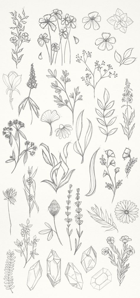 Simple Floral Sketch Drawings, Crystal Sketch Drawings, Messy Flowers Drawing, Drawing Floral Designs, Simple Flowers Design, Floral Drawings Simple, Flower Bundle Drawings, Crystal Flower Drawing, Flower And Crystal Tattoo