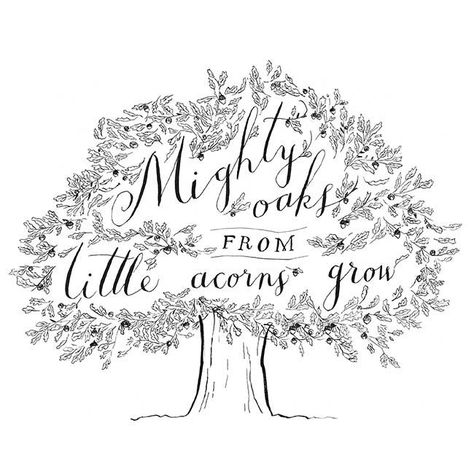 "Might oaks from little acorns grow." -14th century proverb Growing Quotes, Tree Quotes, Mighty Oaks, Acorn And Oak, Quotes Beautiful, Arbour Day, Super Quotes, Growing Tree, Oak Tree