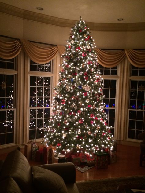 A well lit tree in a large room in front of the window creates great light. Crismas Tree, Christmas Extravaganza, Amazon Kitchen Gadgets, Three Wise Men, Frosty The Snowmen, Arched Windows, Rudolph The Red, Amazon Kitchen, Christmas Scenes