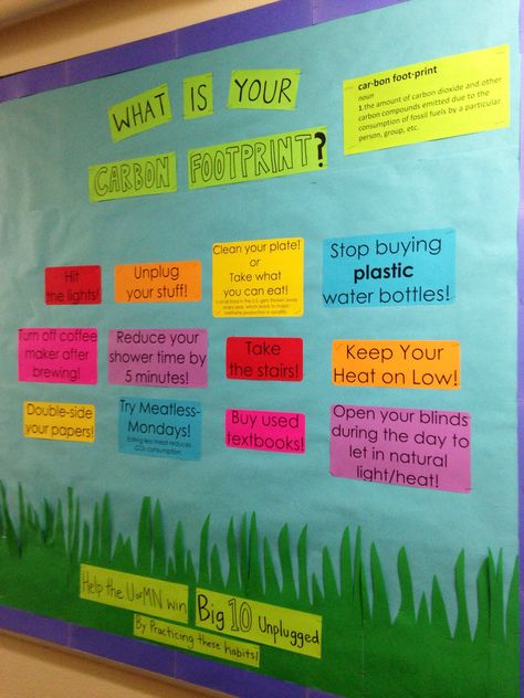 Environmental bulletin board. Ways to reduce your carbon footprint. Environmental Science Bulletin Board, Environmental Bulletin Boards, Environmental Club Activities, Sustainability Bulletin Board, Notice Board Ideas, Environmental Club, Science Bulletin Boards, Ap Environmental Science, Reduce Your Carbon Footprint