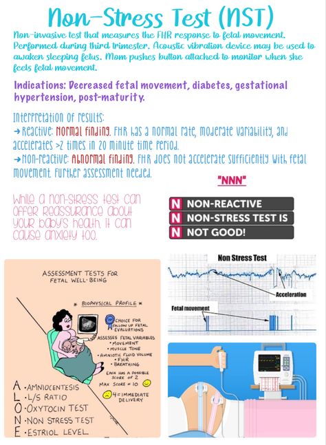 Obgyn Nursing Notes, Obstetrics And Gynecology Notes, Ob Nursing Notes, Fetal Movement, Newborn Nursing, Ob Nursing, Obstetrics And Gynaecology, Maternal Health, Nursing School Essential