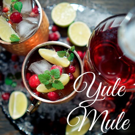 Yule Mule Yule Mule, Wassail Punch, Sugared Cranberries, Christmas Cocktail, Cranberry Orange, Trader Joe’s, Trader Joe, Orange Slices, Mint Leaves