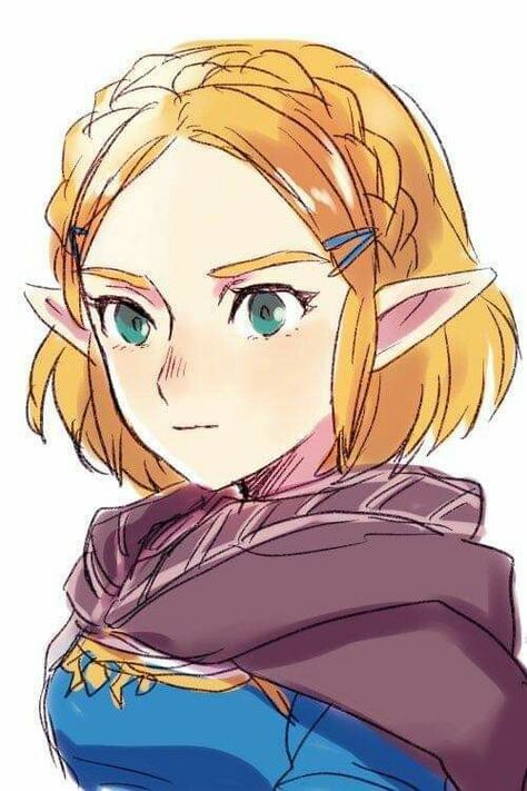 Princess Zelda Art, Zelda Drawing, Zelda Anime, Princesa Zelda, Botw Zelda, Link Zelda, Zelda Art, Legend Of Zelda Breath, Zelda Breath