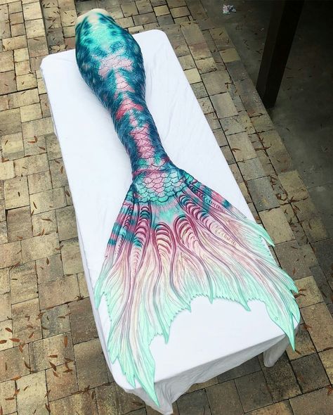 Mermaid Tails Aesthetic, Tails Aesthetic, Colouring Reference, Realistic Mermaid Tails, Male Mermaid, Mermaid Tales, Siren Core, Professional Mermaid, Mermaid Swim Tail