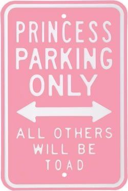 Shuffle Aesthetic, Princess Parking, Entertaining House, Happy Stuff, I Believe In Pink, Pink Lady, Tickled Pink, Everything Pink, Pink Princess