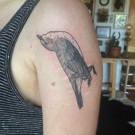 Dead Animal Tattoo, Dead Bird Tattoo, Shrike Tattoo, Scar Coverup Tattoo, Wagtail Tattoo, Tattoo Scar Cover, Feather Tat, Chickadee Tattoo, Print Making Designs