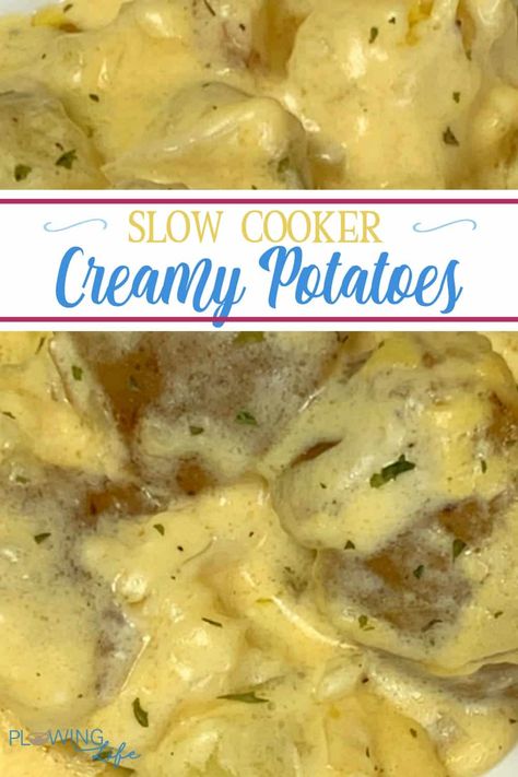 Creamy Crock Pot Potatoes with text Rice Crockpot, Ohio Food, Creamy Potatoes, Crock Pot Potatoes, Cooking Vegetables, Oven Stove, Creamed Potatoes, Awesome Recipes, Creamy Potato