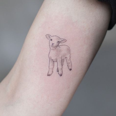 Seasonal Tattoos, Lamb Drawing, Lamb Tattoo, Sheep Tattoo, Bible Tattoos, 16 Tattoo, Cow Tattoo, Goat Art, Type Tattoo