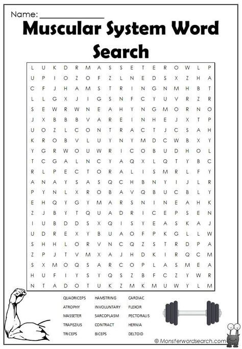 awesome Muscular System Word Search Muscular System Worksheet, Muscular System Activities, Reading Strategies Posters, Free Printable Word Searches, Happy Nurses Day, Nursing Home Activities, Radiology Tech, Nursing Student Tips, Biology Teacher