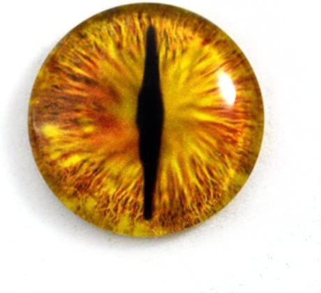 30mm Single Golden Dragon Fantasy Glass Eye for Taxidermy Sculptures or Jewelry Making Crafts : Amazon.ca: Home Eyeball Plant, Murmuration Art, Reflection Pictures, Eye Texture, Eyeball Art, Eye Designs, Dragon Glass, Cartoon Face, Dragon Costume