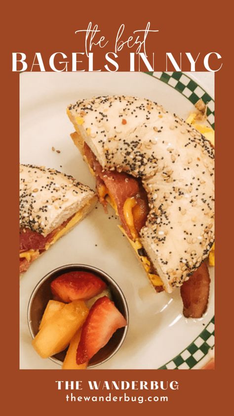 Best Bagels In Nyc, Ny Bagel, Blueberry Bagel, Bagel Toppings, Salmon Bagel, Jewish Cuisine, New York Bagel, Best Bagels, Foods To Try