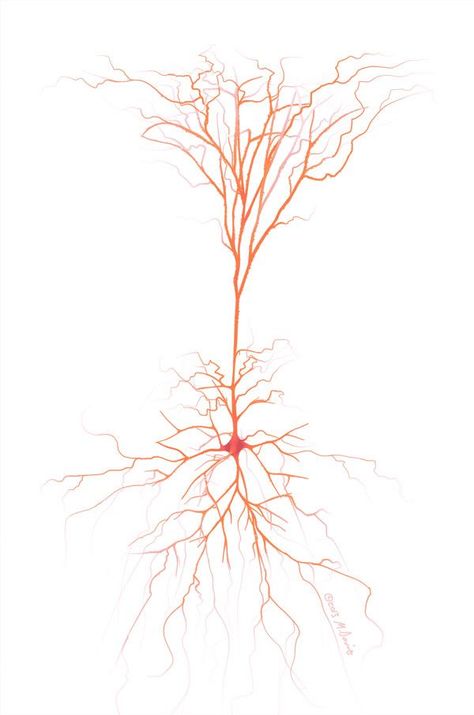 Neuron Tree Tattoo, Brain Cell Tattoo, Brain Neurons Art, Nerve Tattoo, Neuroscience Tattoo, Neuron Tattoo, Neurons Art, Neuron Art, Neuroscience Art