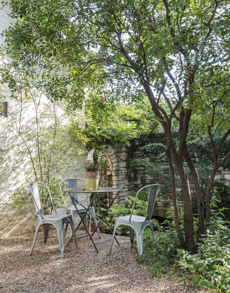 The New Gravel Backyard: 10 Inspiring Landscape Designs - Gardenista Gravel Courtyard, Brooklyn Backyard, Gravel Backyard, Gravel Patio, Matthew Williams, Gravel Garden, Easy Backyard, Front Patio, Landscape Designs