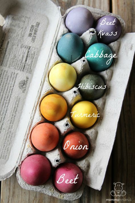 Such a great resource for dyeing Easter eggs naturally with real food ingredients you may already have in your kitchen! Natural Easter Eggs, Naturally Dyed Easter Eggs, Colored Eggs, Egg Dye, Easter Egg Dye, Spring Holidays, Coloring Easter Eggs, Coloring Eggs, Easter Time