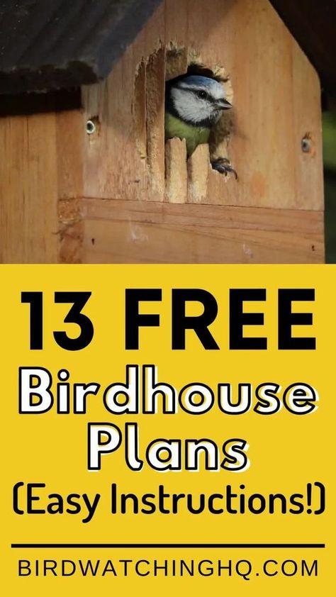 Birdhouse Building Plans, Build Bird House, Bird Houses Diy Easy, Diy Birdhouse Easy, Birdhouse Diy Plans, Free Birdhouse Plans, Diy Birdhouse Plans, Birdhouse Woodworking Plans, Bluebird House Plans