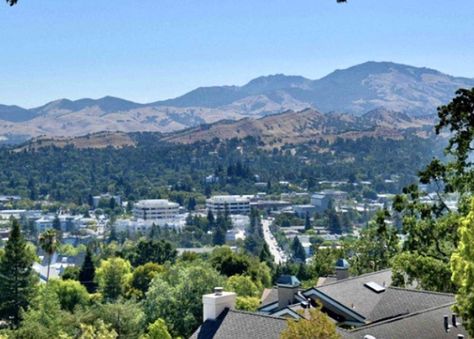 Walnut Creek, California Homes, Walnut, Sweet Home, California