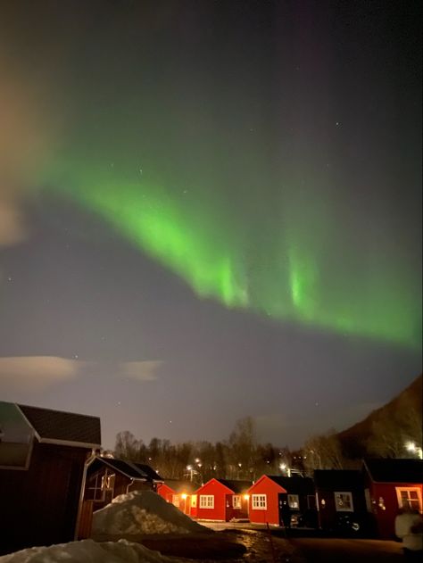 #northernlights #polarlights #tromsø #norway #travel #travelguide #erasmus #student #europe #solotravel #backpacking #aesthetic #fjord Tromso Norway Aesthetic, Tromsø Norway Aesthetic, Northern Europe Aesthetic, Tromso Norway Northern Lights, Tromsø Aesthetic, Tromso Aesthetic, Norway Asthetic, Norway Lights, Tromso Norway Winter