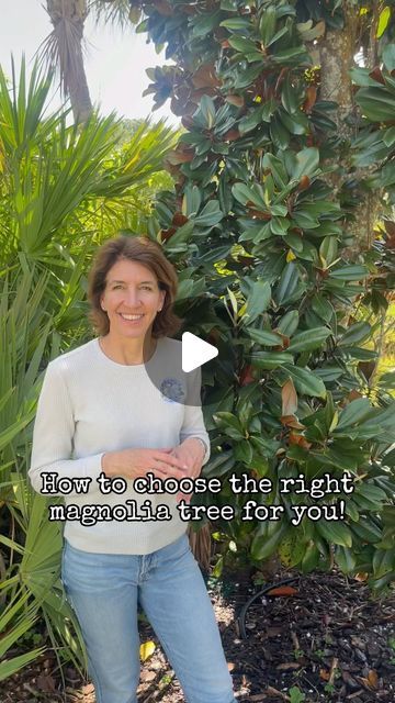 Seeds Of Life | Gift Trees on Instagram: "🌳Finding the perfect magnolia tree for your space just got easier with our expert guide! Consider us your headquarters for all things magnolia! Let’s grow together ✨ • • • • #magnoliafarm #gifttrees #containertree #privacytrees #bloomingtrees" Types Of Magnolia Trees, Magnolia Garden Ideas, Landscaping With Magnolia Trees, Magnolia Tree Landscaping Ideas, Little Gem Magnolia Tree Landscaping, Magnolia Tree Front Yard, Magnolia Hedge, Magnolia Tree Landscaping, Little Gem Magnolia Tree