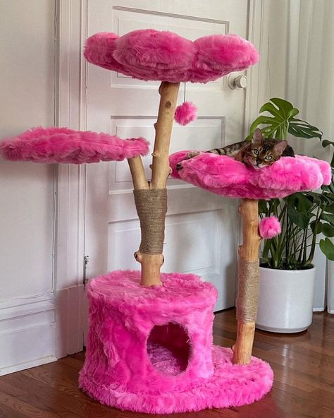 All Posts • Instagram Cute Cat Tree, Luxury Cat Furniture, Unique Cat Trees, Cat Climbing Wall, Flower Trees, Wooden Cat Tree, Cat Climbing Tree, Tree Pictures, Cat Climbing Frame