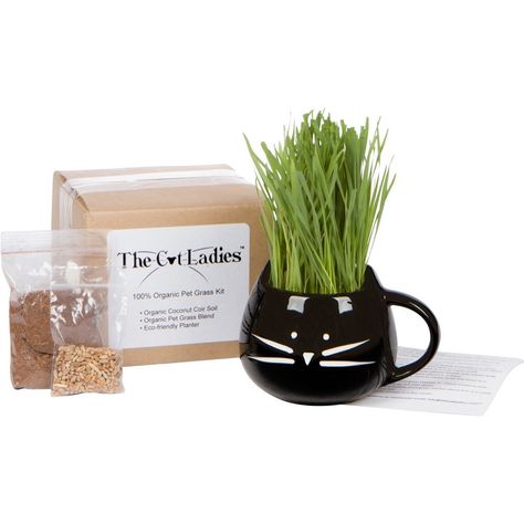 HOLIDAY GIFT SET - 100% Organic cat grass kit/cat grass kit with cat planter. Natural hairball control and remedy for cats. Natural digestive aid. Includes planter, Organic seed mix and organic soil. >>> See this great image  : Cat Health and Supplies Hairball Remedy For Cats, Indoor Cat Garden, Cat Grass Planter, Grass Growing, Pet Grass, Digestive Aid, Cat Planter, Cat Tips, Cat Grass