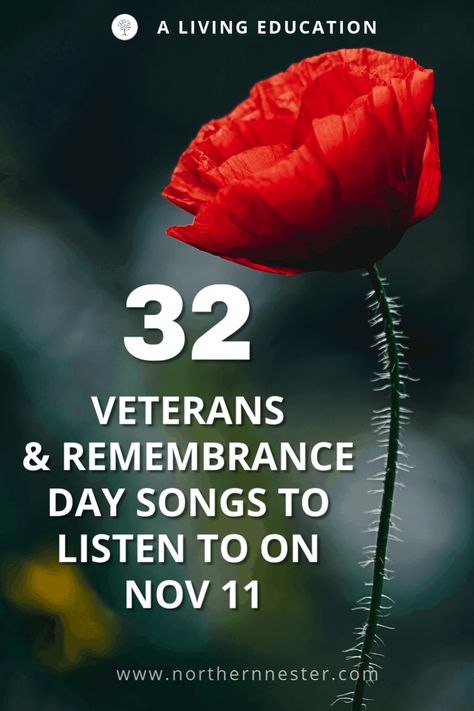 Veterans Day Songs To Listen To On Nov. 11 - Northern Nester Veterans Day Program Ideas, Veterans Day Songs, Veterans Day Speeches, Veterans Appreciation, Veterans Day Celebration, Nursing Home Activities, Senior Center, Patriots Day, The Departed