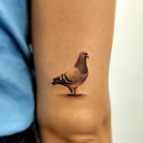 Sullen Art Collective on Instagram: “Pigeon tattoos by @ktattoola 😃 of” Pigeon Tattoo, Bird Tattoo Meaning, Cute Pigeon, Red Heart Tattoos, Small Bird Tattoo, Bird Tattoos, Tattoo Ideas Female, Home Tattoo, Tattoo Parlors