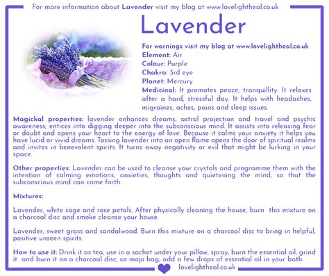 Lavender Image Lavender Properties Magic, Magic Properties Of Lavender, Lavender Healing Properties, Lavender Correspondences, What Does Lavender Represent, Lavender Spiritual Meaning, Blue Lotus Magical Properties, Lavender Magical Properties, Lavender Witchcraft Uses