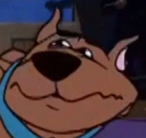 Snack Man, Scooby Doo Memes, Scooby Doo Pictures, Scooby Doo Mystery Inc, Scooby Doo Images, Shaggy And Scooby, Scooby Dooby Doo, Dry Humor, Childhood Tv Shows