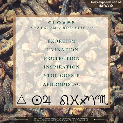 Cloves are perfect for spells involving exorcism protection love and stopping gossip. #magicalmonday Clove Witchcraft, Herb Correspondences, Herbal Correspondences, Herb Meanings, Plant Magick, Spiritual Herbs, Magick Herbs, Saco Maine, Resurrection Fern