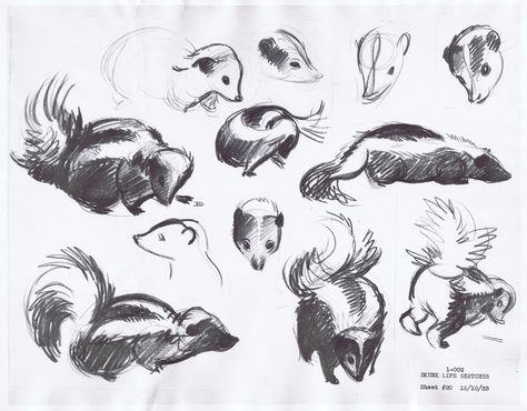 Skunk Tattoo, Skunk Drawing, Marc Davis, Creature Reference, Animal Designs, 100th Birthday, Sketch Ideas, Woodland Animal, Animal Sketches