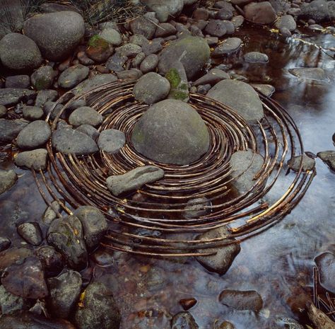 Goldsworthy’s most time-consuming step in the process of laying curved sticks around a river boulder in Woody Creek, Colorado, was finding the right sticks. Illusion Kunst, Ephemeral Art, Andy Goldsworthy, Deco Nature, Nature Artists, Natural Man, Earth Art, Stonehenge, Sculpture Installation