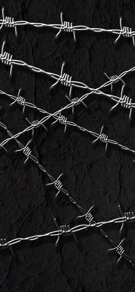 Razor Wire, Iphone Wallpapers Hd, Wallpapers Ipad, Goth Wallpaper, Wallpaper Iphone Summer, Ipad Wallpapers, Ipad Background, Framed Photo Collage, Y2k Wallpaper