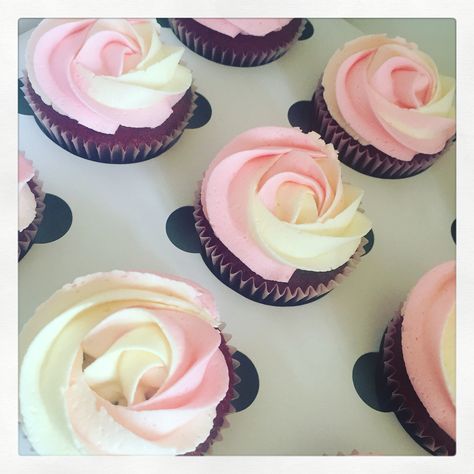 JR Elevation - Pink ombré cupcakes Pink Ombre Cupcakes Frostings, Pink Ombre Cupcakes, Ombré Cupcakes, Cupcakes Lavender, Ombre Cupcakes, Pink And White Ombre, Lavender Cupcakes, Cupcakes Pink, Sprinkle Cupcakes