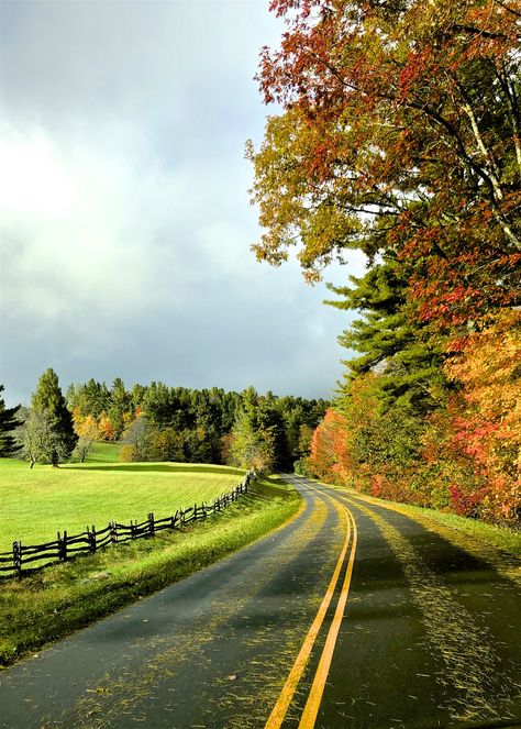 Blowing Rock Nc, Blowing Rock, Blue Ridge Parkway, Blue Ridge Mountains, Blue Ridge, North Carolina, Around The Worlds, Country Roads, Trees