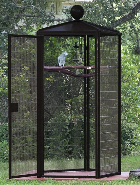 Large Parrot Cage, Diy Bird Cage, Pet Parrot, Pet Bird Cage, Parrot Pet, Bird Aviary, Parrot Cage, Diy Birds, Parrot Toys