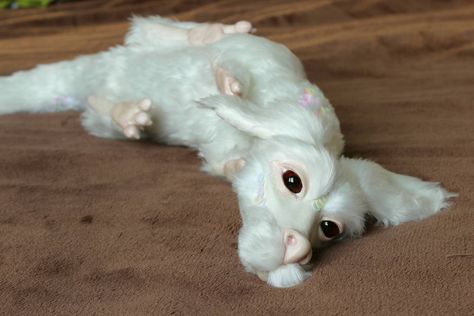 Falkor The Neverending Story, Falcor Neverending Story, Falkor Tattoo, Neverending Story Falcor, Enchanted Forest Nursery, Felt Dragon, Ending Story, The Neverending Story, Dragon Sculpture