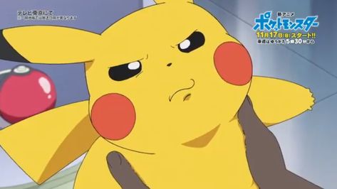 (2) Home / Twitter Ash And Pikachu Friendship Video, Ash Pikachu Z Move, Oshawott Gif, Pokemon App, Pokemon Sleep, Ash And Pikachu Gif, Mythical Pokemon, Pikachu Memes Funny, Pikachu Art