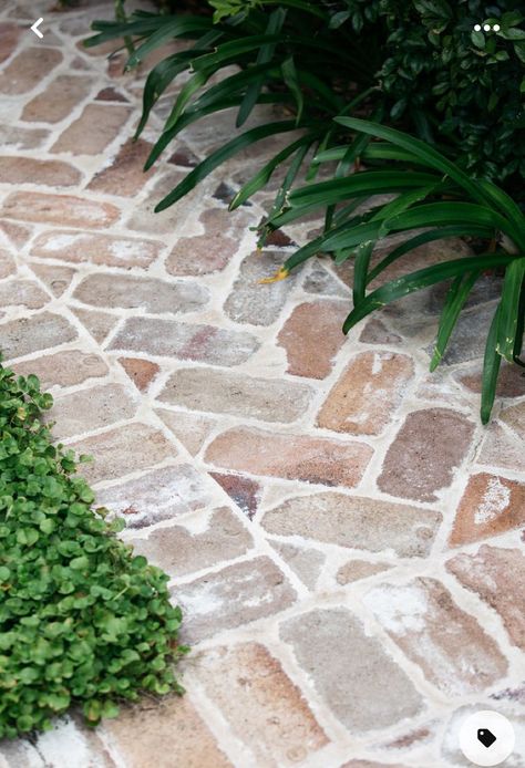 Front Stone Walkway, Garden Footpath Ideas, Concrete Driveway With Paver Border, Outdoor Paths And Walkways, Brick House Walkway, Reclaimed Brick Pathway, Recycled Brick Path, Recycled Brick Paving, Brick Footpath