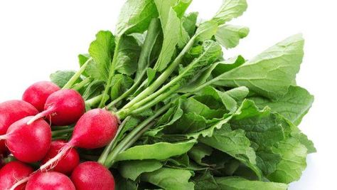 5 recipes for radish leaves - When you get a bunch of radishes do you toss the greens? Stop it. They’re edible and tasty. Health Benefits Of Radishes, Radish Leaves, Radish Greens, Radish Recipes, Kids Meal, Chicken And Shrimp, Summer Vegetable, Garden Recipes, Fiber Foods