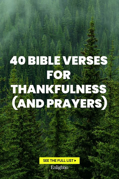 40 Bible Verses for Thankfulness (and Prayers) Thank You Bible Verse Scriptures, Bible Verse On Gratitude, Verses For Thankfulness, Prayers For Thankfulness, Prayer For Family Unity, Prayer For Work, Psalm 136, Relationship Prayer, Prayer For Health